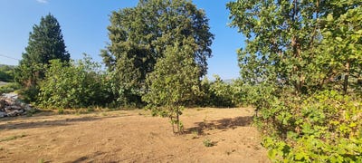 /international/fr/salernes-provence-alpes-cote-d-azur-310110359618/