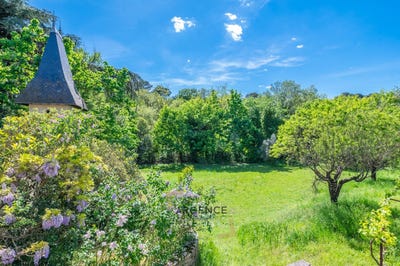 /international/fr/castelnau-le-lez-languedoc-roussillon-310107600781/