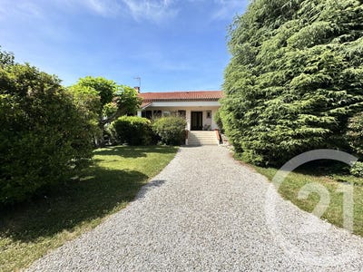 /international/fr/lescure-d-albigeois-midi-pyrenees-310108677617/