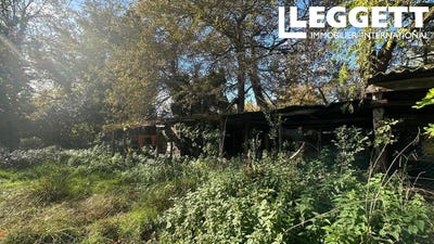 /international/fr/panjas-midi-pyrenees-310103636096/