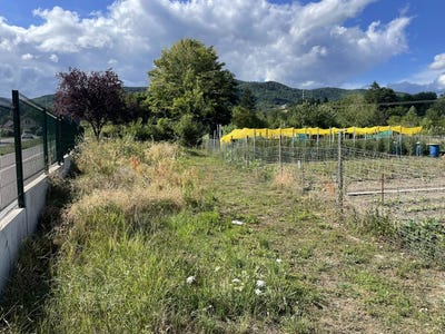 /international/fr/buhl-alsace-310101084176/?lang=zh-cn