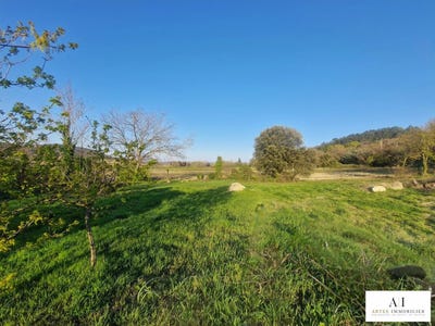 /international/fr/allan-rhone-310106579733/
