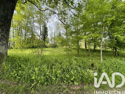 /international/fr/droiturier-auvergne-310107737130/