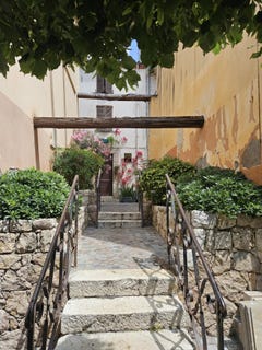 /international/fr/saint-laurent-du-var-alpes-maritimes-310100224713/