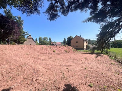 /international/fr/dinsheim-sur-bruche-alsace-310101512223/
