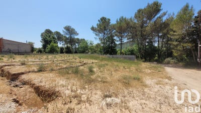 /international/fr/fox-amphoux-provence-alpes-cote-d-azur-310100432559/