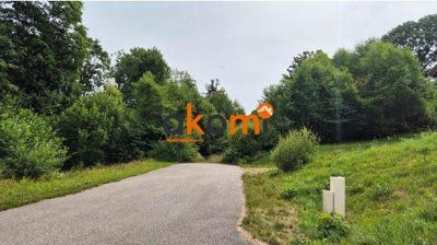 /international/fr/xonrupt-longemer-lorraine-310108601898/