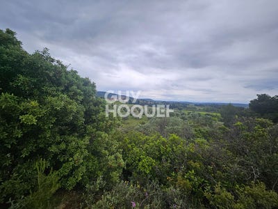 /international/fr/beaufort-languedoc-roussillon-310106236543/