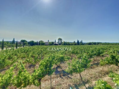 /international/fr/pezenas-languedoc-roussillon-310108248771/