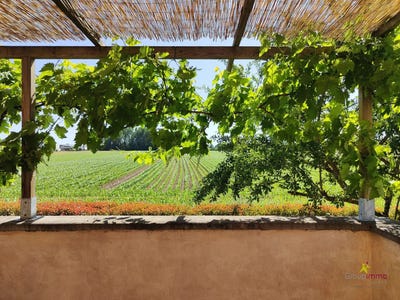 /international/fr/hilsenheim-alsace-310108779994/?lang=it