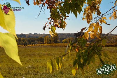 /international/fr/pellegrue-aquitaine-310107556224/