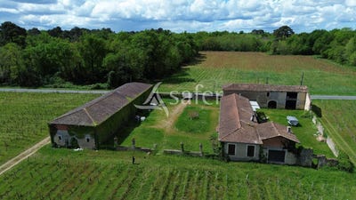 /international/fr/cerons-aquitaine-310107793964/