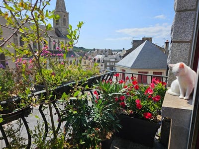 /international/fr/la-roche-bernard-brittany-310109015347/