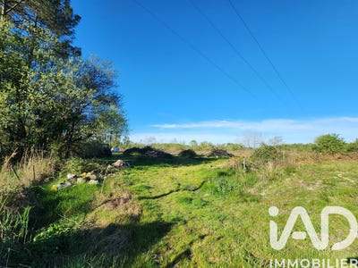 /international/fr/gaillan-en-medoc-aquitaine-310109018330/