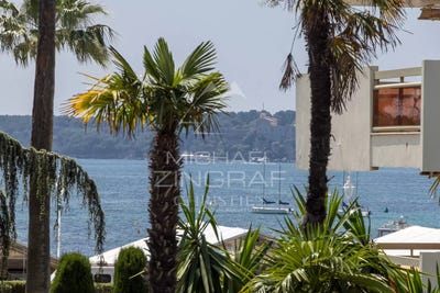 /international/fr/cannes-provence-alpes-cote-d-azur-310108484810/