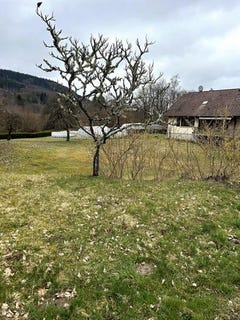 /international/fr/granges-aumontzey-lorraine-310106488131/