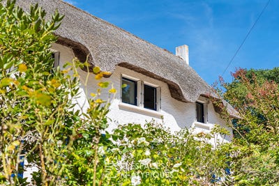 /international/fr/saint-andre-des-eaux-pays-de-la-loire-310101281464/