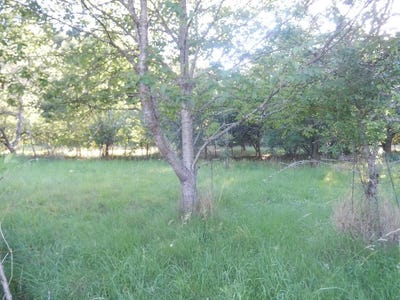 /international/fr/saint-symphorien-de-marmagne-burgundy-120088751889/