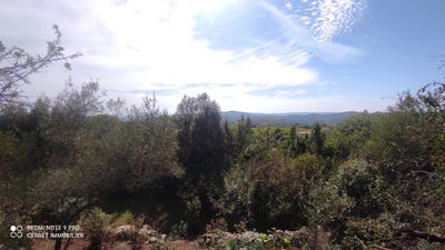 /international/fr/monoblet-languedoc-roussillon-120087388540/