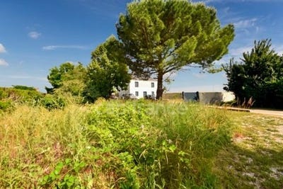 /international/fr/pussay-ile-de-france-310100230923/