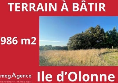 /international/fr/l-ile-d-olonne-pays-de-la-loire-310099118776/