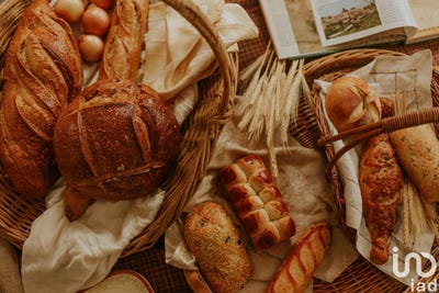 /international/fr/toulon-provence-alpes-cote-d-azur-310100433403/