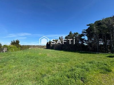 /international/fr/cambieure-languedoc-roussillon-310106361557/