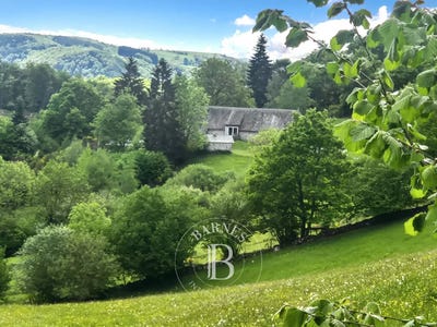 /international/fr/tremouille-auvergne-310108330667/