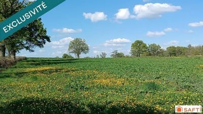 /international/fr/saint-dizier-la-tour-limousin-120095301084/