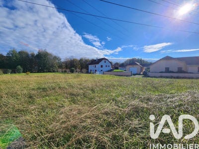 /international/fr/viodos-abense-de-bas-aquitaine-310108590432/