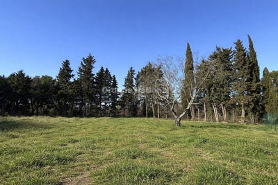 /international/fr/aubignan-provence-alpes-cote-d-azur-310105378096/
