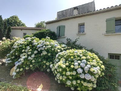 /international/fr/saint-papoul-languedoc-roussillon-310100361690/?lang=en