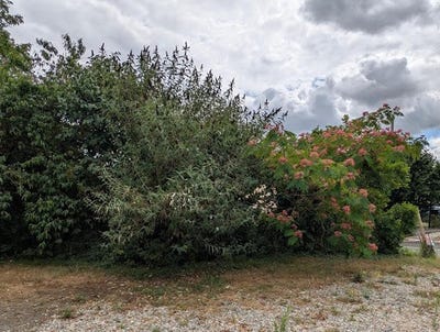 /international/fr/souligne-flace-pays-de-la-loire-310100885616/?lang=zh-tw