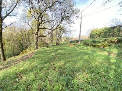 /international/fr/prudhomat-midi-pyrenees-310105156577/