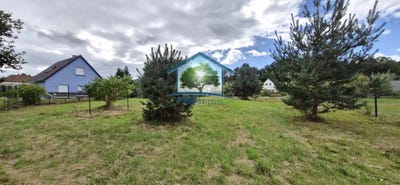 /international/fr/dambach-alsace-310099006715/