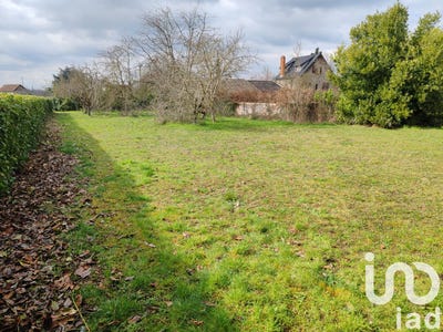 /international/fr/bessay-sur-allier-auvergne-310103746499/