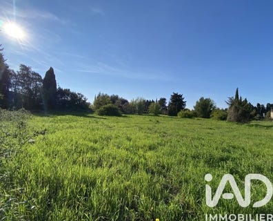 /international/fr/chateaurenard-provence-alpes-cote-d-azur-310106822213/