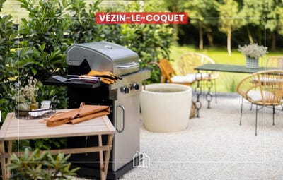 /international/fr/vezin-le-coquet-brittany-310103635262/