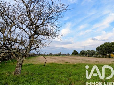 /international/fr/beaufort-en-anjou-pays-de-la-loire-310107181657/