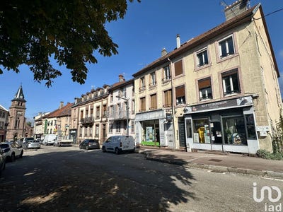 /international/fr/saint-die-des-vosges-lorraine-310102841753/