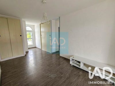 /international/fr/paron-burgundy-310108948888/