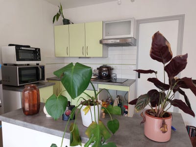 /international/fr/le-mans-pays-de-la-loire-310098796361/