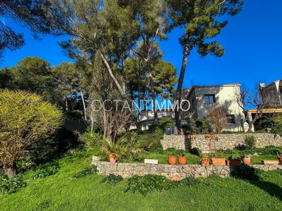 /international/fr/le-cannet-midi-pyrenees-310104963619/