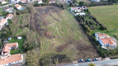 /international/fr/le-fenouiller-pays-de-la-loire-310105080851/