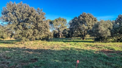 /international/fr/saint-siffret-languedoc-roussillon-310103728264/