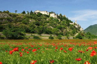 /international/fr/albi-midi-pyrenees-310105764010/