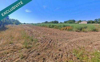 /international/fr/chemilly-sur-yonne-burgundy-310100717564/