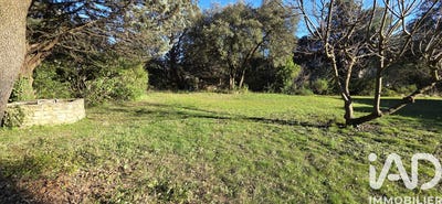 /international/fr/villevieille-languedoc-roussillon-310103763868/