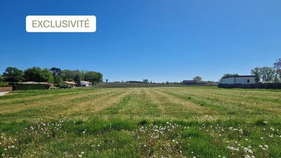 /international/fr/mazeres-aquitaine-310106579711/