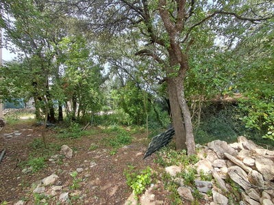 /international/fr/junas-languedoc-roussillon-310108594917/